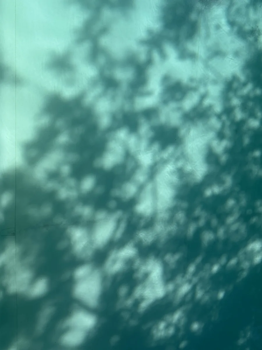 Fotografie, Hochformat: Baumschatten auf einer türkisfarbenen Wand